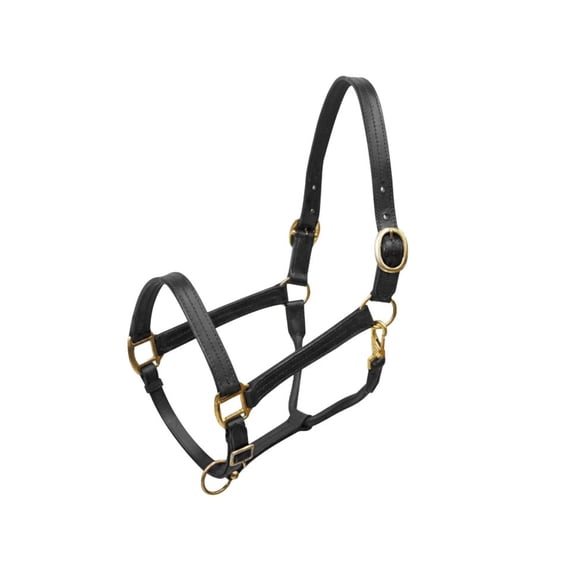 Large Horse Leather Halter w/ Brass Hardware