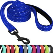 Nylon Dog Leash 5ft for Daily Outdoor Walking Running TrainingReflective Pet Leashes for Large, Medium & Small Dogs (Blue, Medium)