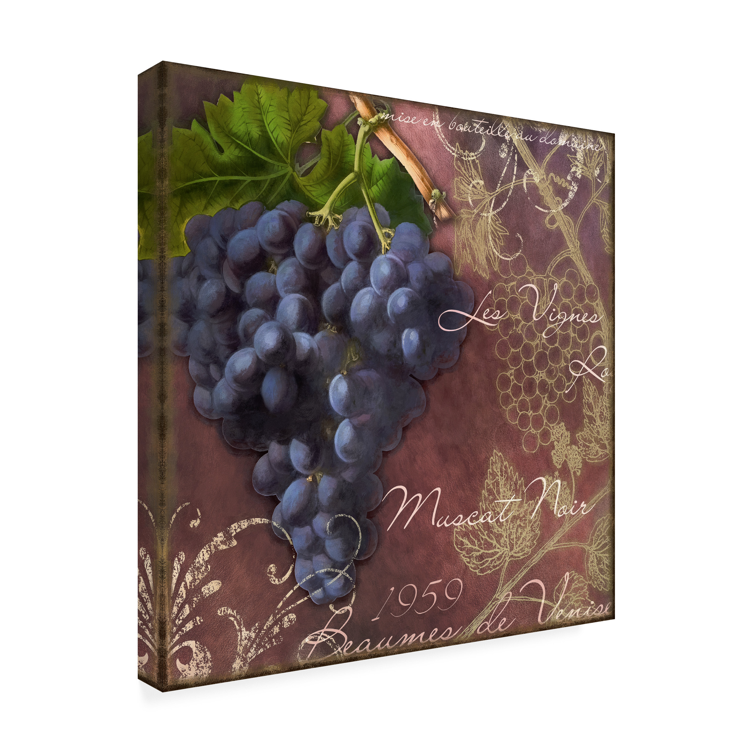 Cora Niele 'Blue Vines Black Muscat' Canvas Art