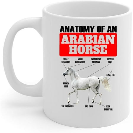 

Funny Red White Halfmoon Betta Fish Anatomy Chart Coffee Mug White Ceramic Cup 11oz