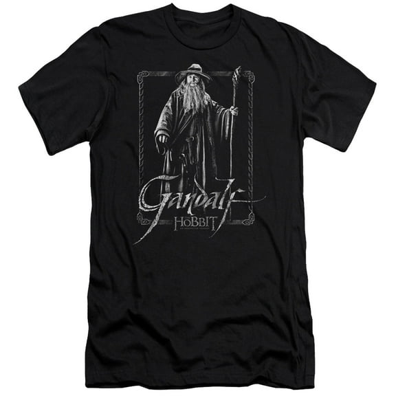 The Hobbit Gandalf Stare S/S Adult 30/1 T-Shirt Black