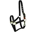 thumbnail image 6 of Gatsby Nylon Safety Breakaway Halter Foal Blue, 6 of 9