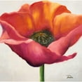 thumbnail image 3 of Pinto, Patricia 15x15 Black Modern Framed Museum Art Print Titled - Poppy Flower I, 3 of 5