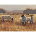 thumbnail image 3 of Harper, Ethan 24x19 Black Modern Framed Museum Art Print Titled - Grazing at Sunset II, 3 of 5
