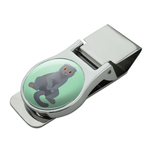Scottish Fold Cat Satin Chrome Plated Metal Money Clip