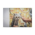 thumbnail image 4 of Cute Maine Coon Bath Canvas Wall Art  for Home Decor Ready-to-Hang, 4 of 18