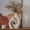 Beige - Xl Hollow, variant on Xl Beige Ceramic Vase Set Of 2 For Modern Home Decor  Eclectic Entryway Boho Hollow Flower Vases Living Room Bookshdining Coffee Table Centerpiece (w 6.8" X H 11")