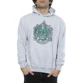 thumbnail image 3 of Harry Potter Mens Slytherin Cotton Hoodie, 3 of 5