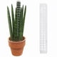 thumbnail image 5 of Tutor de Plástico para Monstera y Plantas Trepadoras | Estacas Extensibles y Apilables | para Uso En Interiores con Musgo Sphagnum | Paquete de 4 Tutores de 28,4 Cm (11,2 Pulgadas), 5 of 6