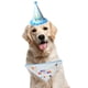 thumbnail image 5 of Bufanda de feliz cumpleaños para perro y Gato, bonito sombrero de fiesta, sombrero de cumpleaños para niña y niño, conjunto de disfraz de fiesta de cumpleaños para mascota, 5 of 5