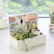 thumbnail image 3 of Bonsai Cubeta de de Sedum Artificial Casa de Café Baoblaze Suculenta Pot, 3 of 8