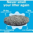 thumbnail image 5 of Boxiecat Unscented Odour Control Clumping Clay Cat & Kitty Litter, 7.26-kg bag, 5 of 5