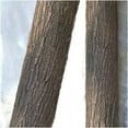 thumbnail image 3 of Artificial Tree Bark,QZS Portable Fake Bark for Pillars Pipes Decor, Cuttable Simulation Tree Decor for Columns,Walls,Floors,Tree Decoration,39.4x11.8", 3 of 6