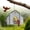 1 Pc, variant on Church Shaped Metal Solar Bird Feeder Hanging Outdoor Weatherproof for Wild Birds Garden1 Pc