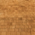 thumbnail image 1 of Ahgly Company Machine Washable Indoor Square Transitional Dark Orange Area Rugs, 8' Square, 1 of 7