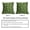 Green, variant on Lime Green Fall Pumpkin Pillow Covers 20x20 Set of 2 Autumn Themed Thanksgiving Cream Print Decorative Throw Pillows Outdoor PillowCase Farmhouse Linen Cushion Case Decor for Home Sofa Couch Bed