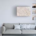 thumbnail image 2 of Trademark Fine Art Pictufy Studio III Texture 26 Canvas Wall Art, 2 of 4