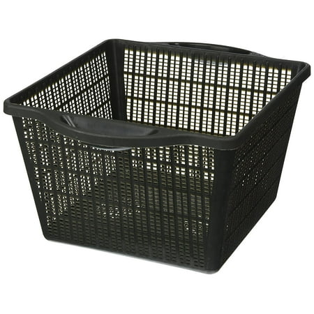 Laguna Planting Basket - Sturdy Plastic Square Planting Basket, 6-Inch, Lattice design allows the free flow of water so that plants receive abundant water supply By Laguna