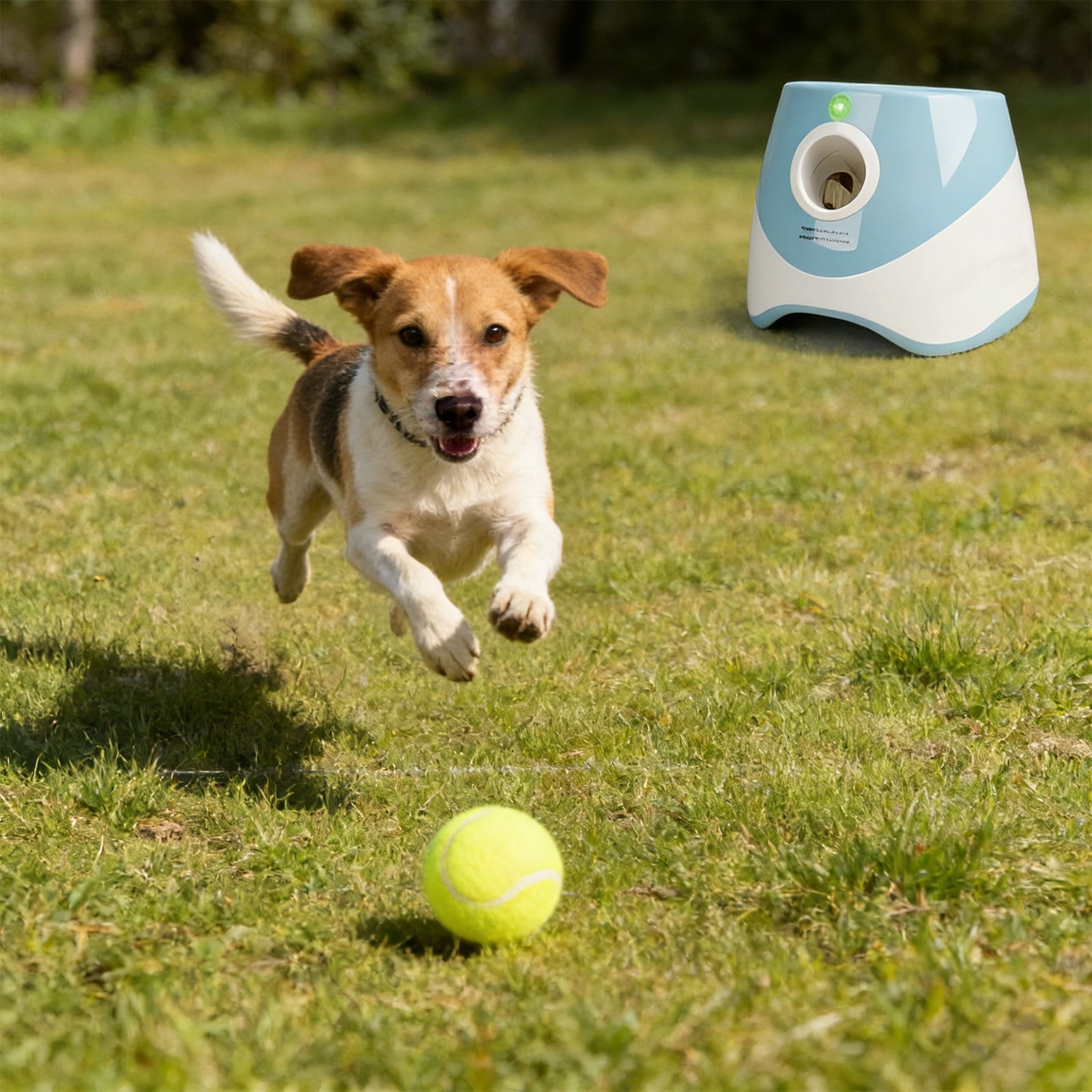 Dongyi Automatic Ball Launcher for Dogs-3 Distance Settings 10-30ft,Interactive Toy for Small & Medium Dogs with 6 Tennis Balls,Indoor/Outdoor Play(Blue)