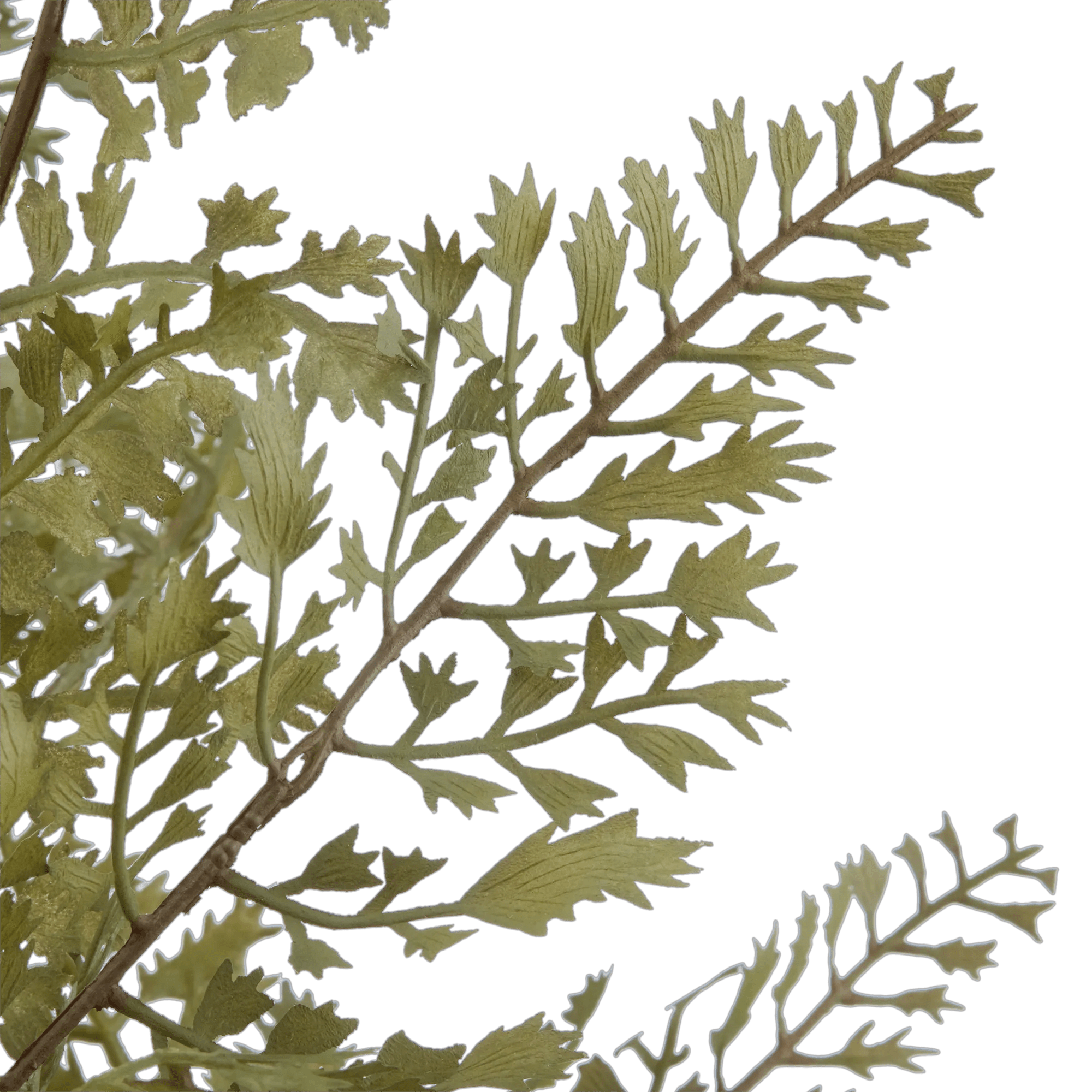 Fougère artificielle Bouclair en pot en ciment 40x23x30 cm
