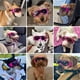 thumbnail image 2 of Gafas de sol PETLESO con protección UV para perros medianos, 2 of 7
