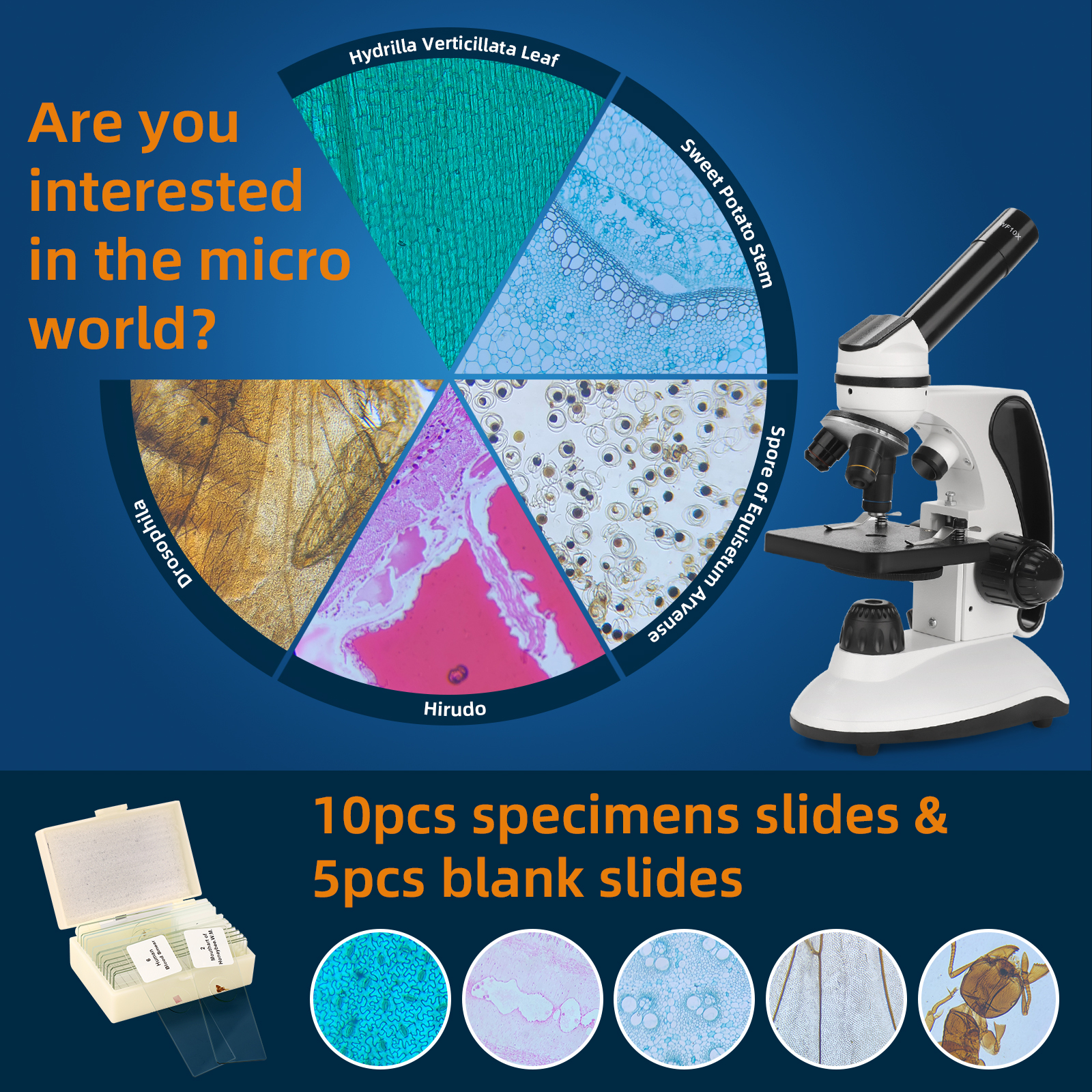 QUNSE 40x-2000x Compound Microscope with Slides Kit photo 3