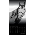 thumbnail image 4 of The Noble Horse | 2026 12x24" (Hanging) Square Wall Calendar | Plastic-Free, 4 of 9