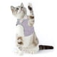 thumbnail image 5 of Correa de pecho para perro, cadena para perro pequeño, cadena para perro con oso de peluche, cuerda para perro que camina MFZFUKR BST3004756-2, 5 of 5