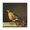 thumbnail image 1 of Robins in Springtime. - Canvas, 1 of 10