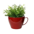 thumbnail image 2 of Algreen Modena Cappuccino Planter, 7-In Cup Planter, Glossy Red, 2 of 2