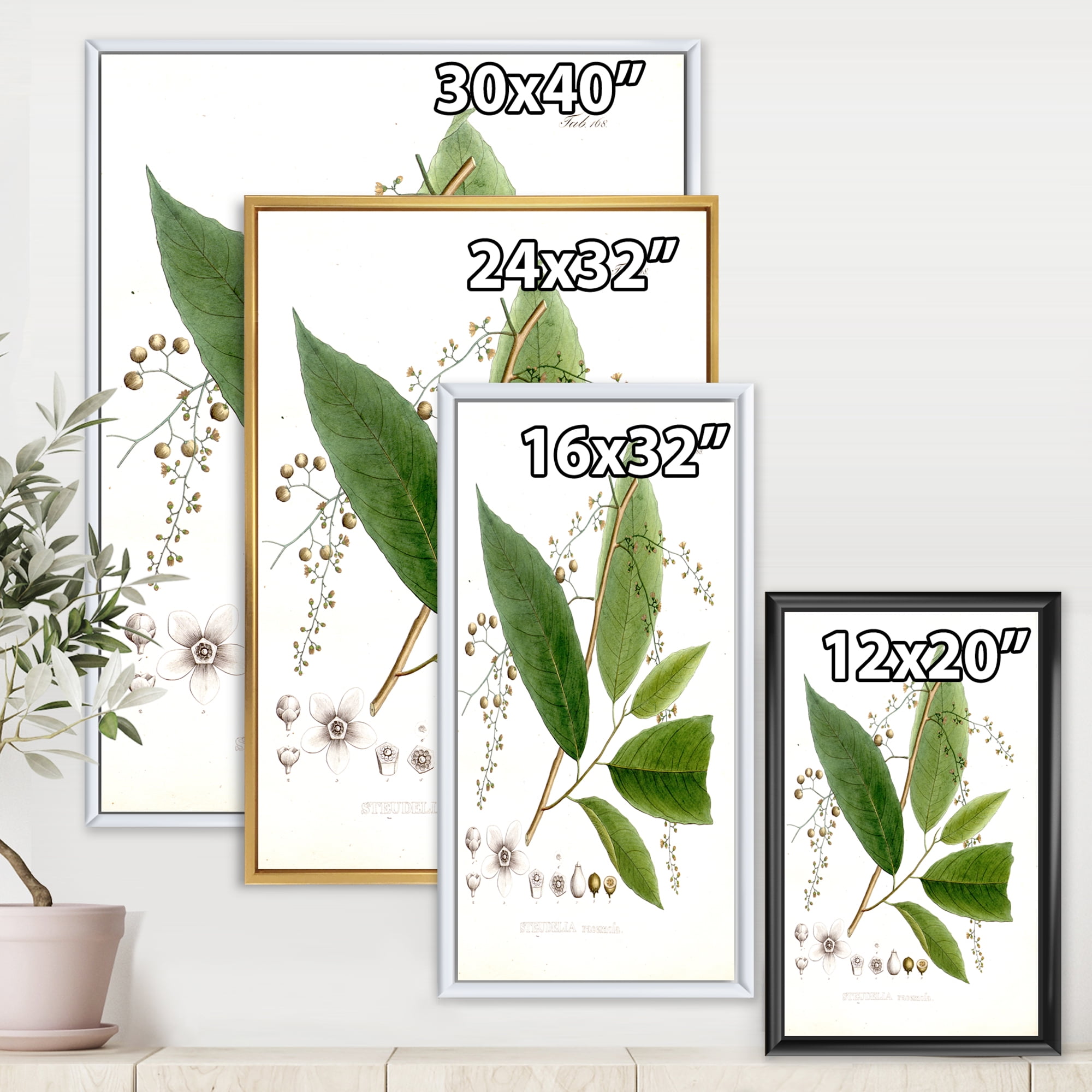 Designart 'Ancient Brazilian Plant I' Traditional Framed Canvas Wall Art Print