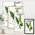 thumbnail image 4 of Designart 'Ancient Brazilian Plant I' Traditional Framed Canvas Wall Art Print, 4 of 5