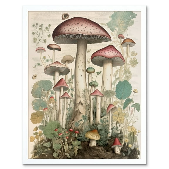 Mushroom Fungi Botanical Page Photograph Vintage Cottagecore Rustic Aesthetic Kitchen Art Print Framed Poster Wall Decor 12x16 inch