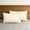 Beige-BG, variant on MMJ 2 Pack Summer Envelope Pillowcases Soft Velvet Wrinkle Free for Dormitory Room Bedding 20x26in