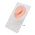 thumbnail image 2 of Modelo de lengua de silicona Sincero Acupuntura Flexible Color de piel claro, 2 of 10