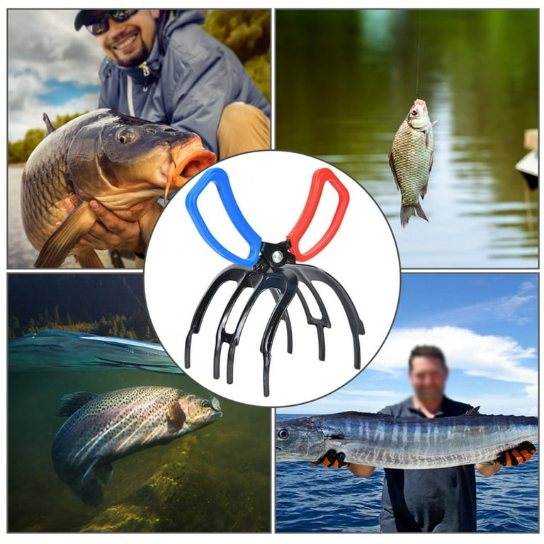 Gupbes Fish Catch, Metal Fish Catching, For Sea/Fresh Fishing For Most  Freshwater Fish Fishing Lover Fishing Tackle 