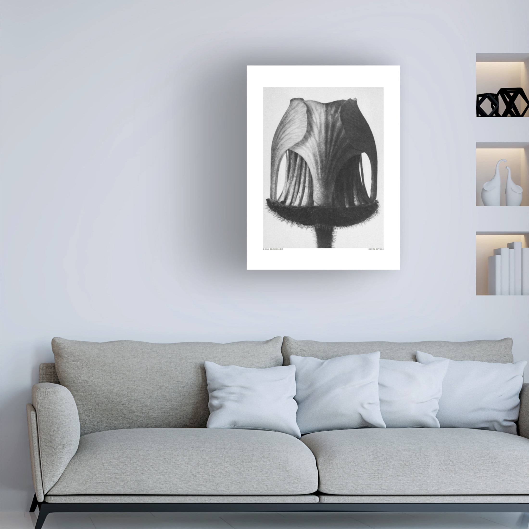 Trademark Fine Art Pictufy  Geum Rivale Canvas Wall Art