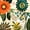 White Orange Black, variant on Manfei Aniaml Elephant Full Size Comforter Sets 3-Piece,Bohemian Flowers Bedding Comforter Set,1 Comforter and 2 Pillowcases,Reversible