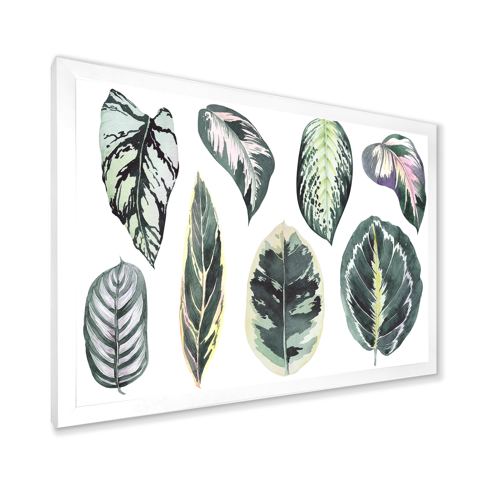 Designart 'Tropical Calathea Leaves On White' Bohemian & Eclectic Framed Art Print