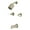 Brushed Nickel, variant on Kingston Brass KBX8143DPL Paris Two-Handle Tub and Shower Faucet, Antique Brass