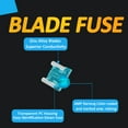 thumbnail image 5 of LordandLand, car Low Profile Mini Blade Fuses 50 Pieces, 5 of 7