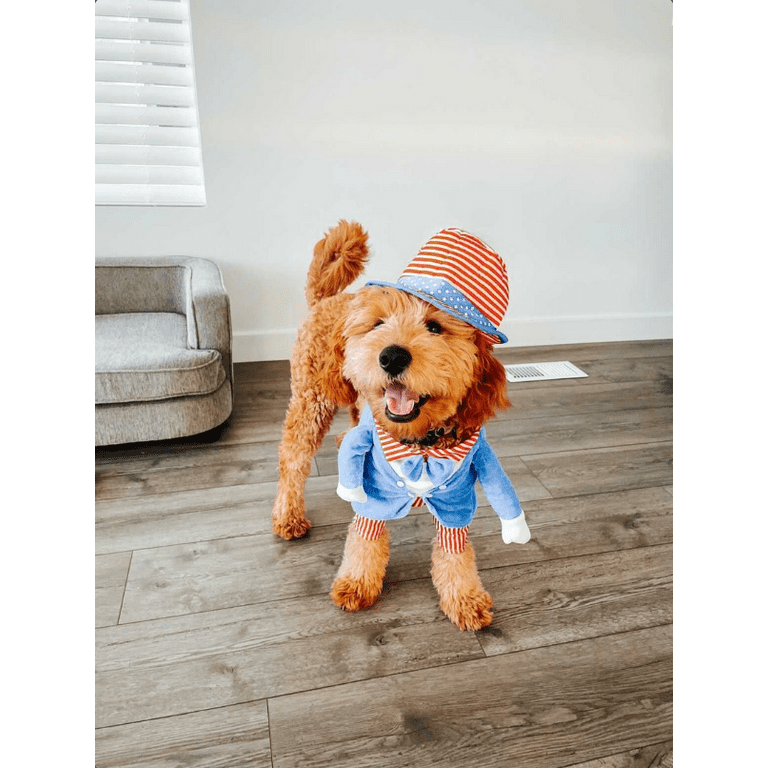 Uncle Sam 4th Of July Dog Outfits Fourth Of July Bandana For Dogs