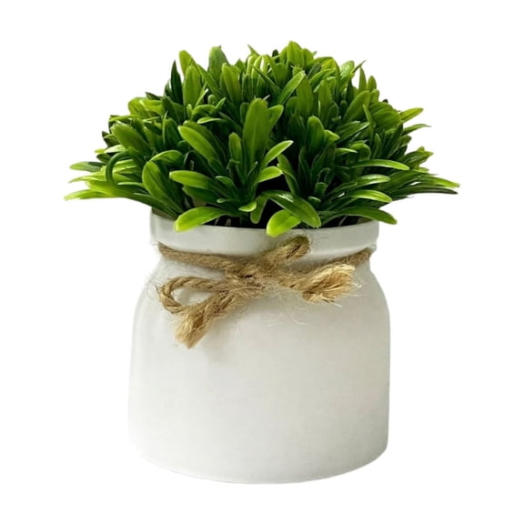 Small Fake Potted Plant White Ceramic Pot Coffee Table Decor for Living Room Kitchen Table Centerpiece Home Office Desk Shelf Decor