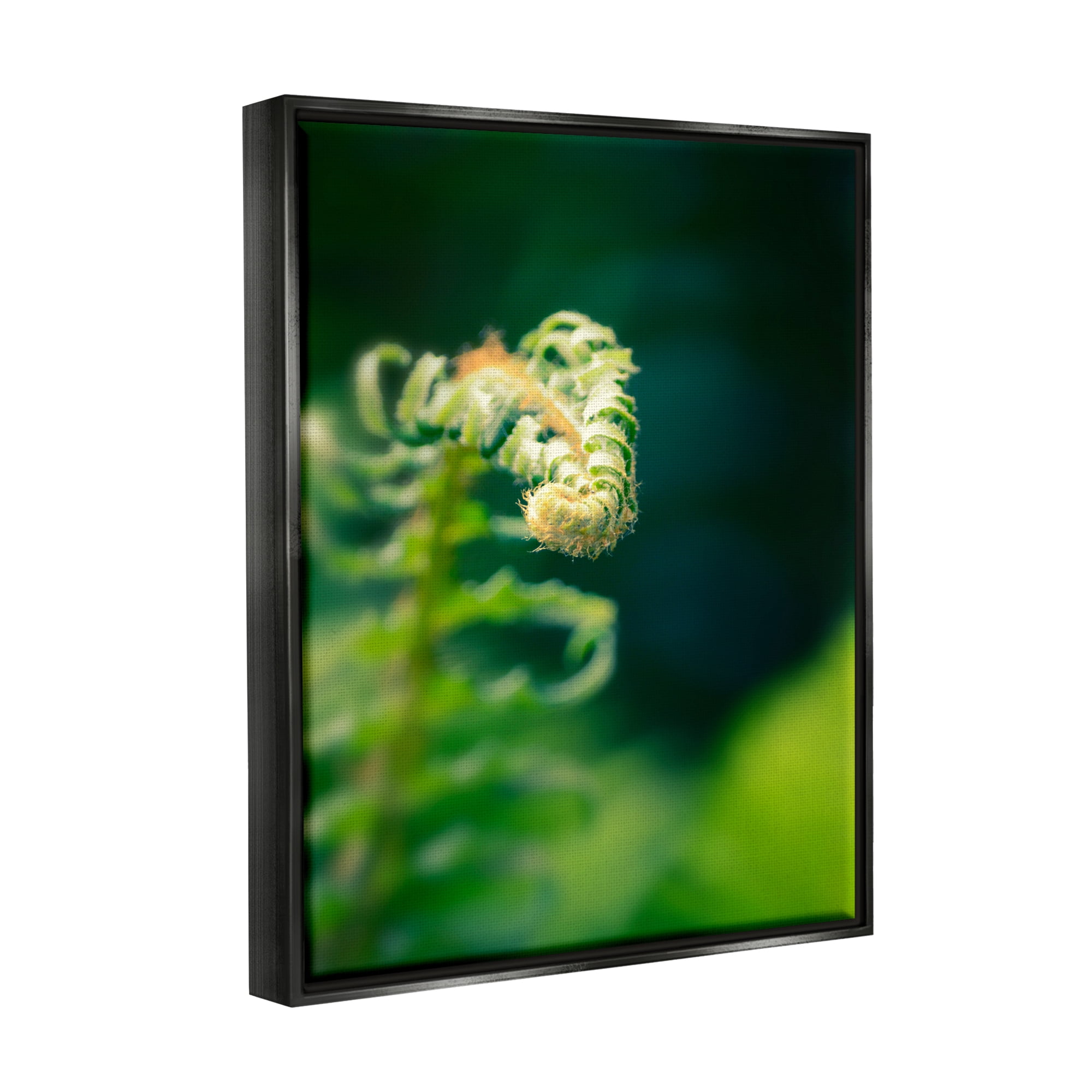 Stupell Fern Leaves Nature Photography Botanical & Floral Photography Black Floater Framed Art Print Wall Art