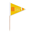thumbnail image 1 of Berlin Geography Coordinates Trave Toothpick Triangle Cupcake Toppers Flag, 1 of 3