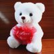thumbnail image 5 of Juguete de Peluche de Oso con Luz Nocturna Colorida LED para Niños Felpa Suave Temporizador de Apagado Automático Regalo Ideal 86 Pulgadas ANGGREK  Otros, 5 of 6