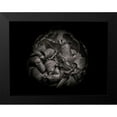 thumbnail image 2 of Carson, Brian 18x15 Black Modern Framed Museum Art Print Titled - Backyard Flowers Black and White 80, 2 of 5