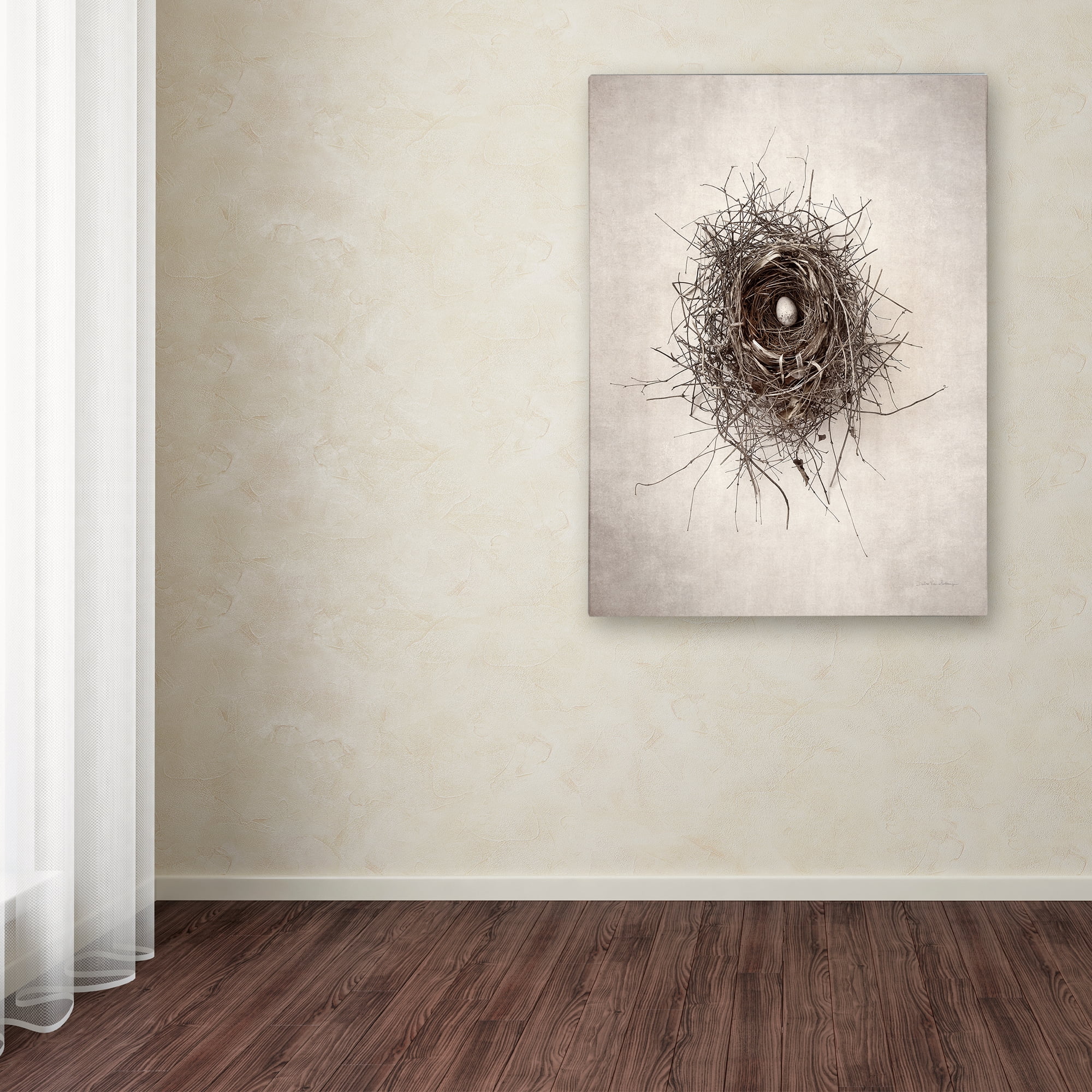 Debra Van Swearingen 'Nest I' Canvas Art