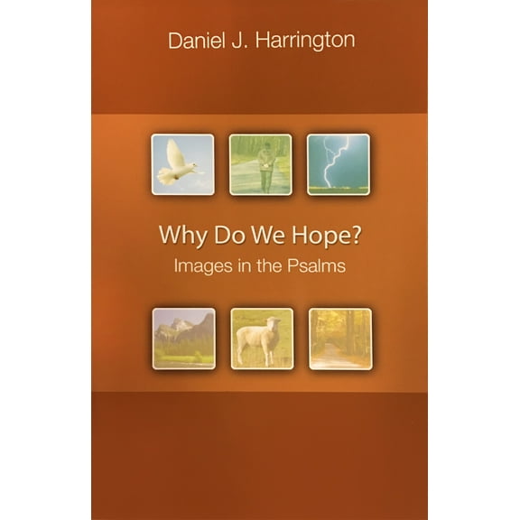 Why Do We Hope? : Images in the Psalms (Paperback)