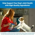 thumbnail image 5 of Nutramax Cosequin for Dogs Joint Health Supplement, Contains Glucosamine for Dogs, Plus Chondroitin, Supports Healthy Joints, For All Breeds and Sizes, Sprinkle Capsules, 132 Count, 5 of 7